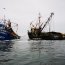  Armada junto a Sernapesca fiscalizaron embarcación con 35 toneladas de anchoveta  