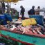  Ya van 10 embarcaciones peruanas capturadas pescando en Zona Económica Exclusiva en lo que va del año  