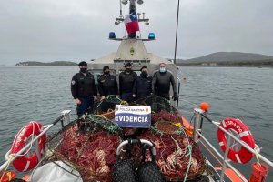 Autoridad Marítima de Puerto Williams detectó ilícito de explotación de centolla en Bahía Lennox