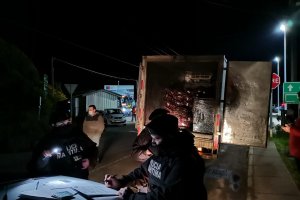 Autoridad Marítima de Ancud incautó más de una tonelada de cholgas y choros en Rampa de Conectividad de Chacao