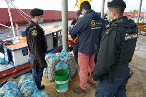 Autoridad Marítima de Maullín incautó más de 300 kilos de almejas