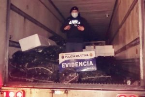 Autoridad Marítima incautó cholgas en rampa de conectividad de Chacao