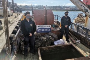 Patrulla Marítima incautó 3.000 kilos de almeja en Quellón