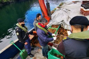 En amplia fiscalización pesquera Armada incautó más de 55 toneladas de recursos hidrobiológicos