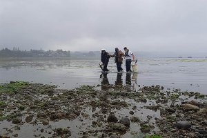 Capitanía de Puerto de Chonchi rescató a adulto mayor atrapado por la marea