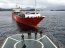  Autoridad Marítima de Punta Arenas coordinó despliegue ante amago de incendio en ferry en el sector de Canal Messier  