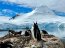  Remolcador de Alta Mar “Galvarino” finalizó con éxito su Comisión Antártica tras 40 días navegando  